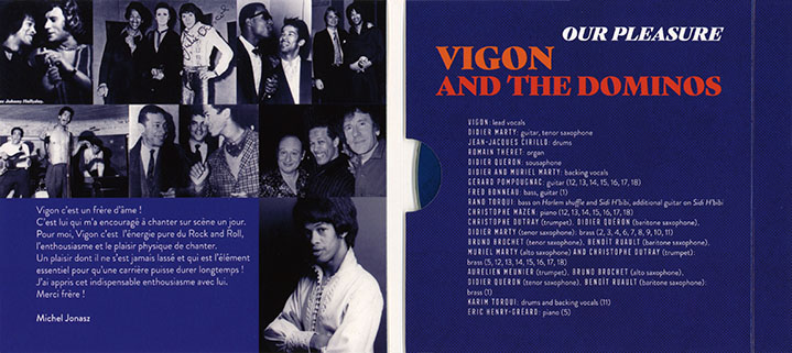 vigon and the dominos cd our pleasure cover in